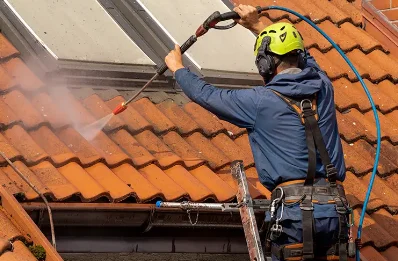 Démoussage et hydrofuge de toiture à Thizy